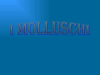 I MOLLUSCHI 