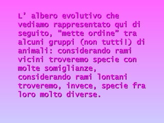 L’ albero evolutivo che vediamo rappresentato qui di seguito, “mette ordine” tra alcuni gruppi (non tutti!) di animali: considerando rami vicini troveremo specie con molte somiglianze, considerando rami lontani troveremo, invece, specie fra loro molto diverse.  