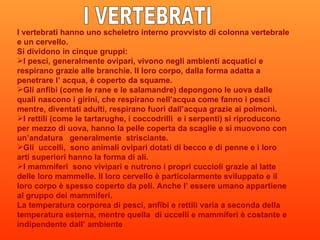 I vertebrati hanno uno scheletro interno provvisto di colonna vertebrale e un cervello. Si dividono in cinque gruppi: I pesci, generalmente ovipari, vivono negli ambienti acquatici e respirano grazie alle branchie. Il loro corpo, dalla forma adatta a penetrare l’ acqua, è coperto da squame. Gli anfibi (come le rane e le salamandre) depongono le uova dalle quali nascono i girini, che respirano nell’acqua come fanno i pesci mentre, diventati adulti, respirano fuori dall’acqua grazie ai polmoni.  I rettili (come le tartarughe, i coccodrilli  e i serpenti) si riproducono per mezzo di uova, hanno la pelle coperta da scaglie e si muovono con un’andatura  generalmente  strisciante. Gli  uccelli,  sono animali ovipari dotati di becco e di penne e i loro arti superiori hanno la forma di ali. I mammiferi  sono vivipari e nutrono i propri cuccioli grazie al latte delle loro mammelle. Il loro cervello è particolarmente sviluppato e il loro corpo è spesso coperto da peli. Anche l’ essere umano appartiene al gruppo dei mammiferi.  La temperatura corporea di pesci, anfibi e rettili varia a seconda della temperatura esterna, mentre quella  di uccelli e mammiferi è costante e indipendente dall’ ambiente  I VERTEBRATI 
