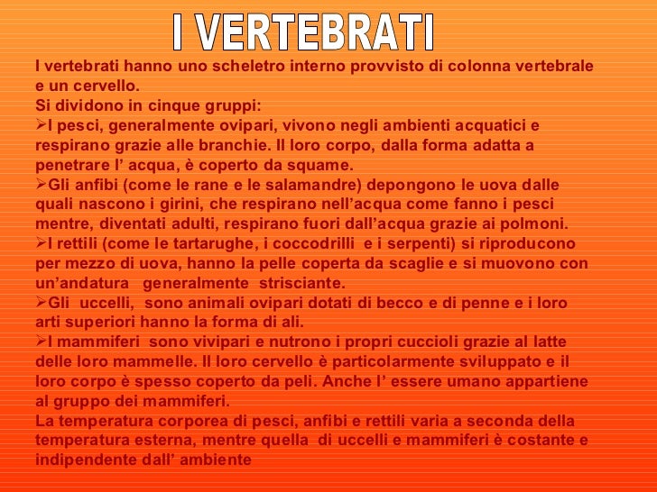 Differenza Tra Animali Vertebrati E Invertebrati