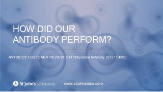 HOW DID OUR
ANTIBODY PERFORM?
ANTIBODY CUSTOMER REVIEW: Gli1 Polyclonal Antibody (STJ110685)
 