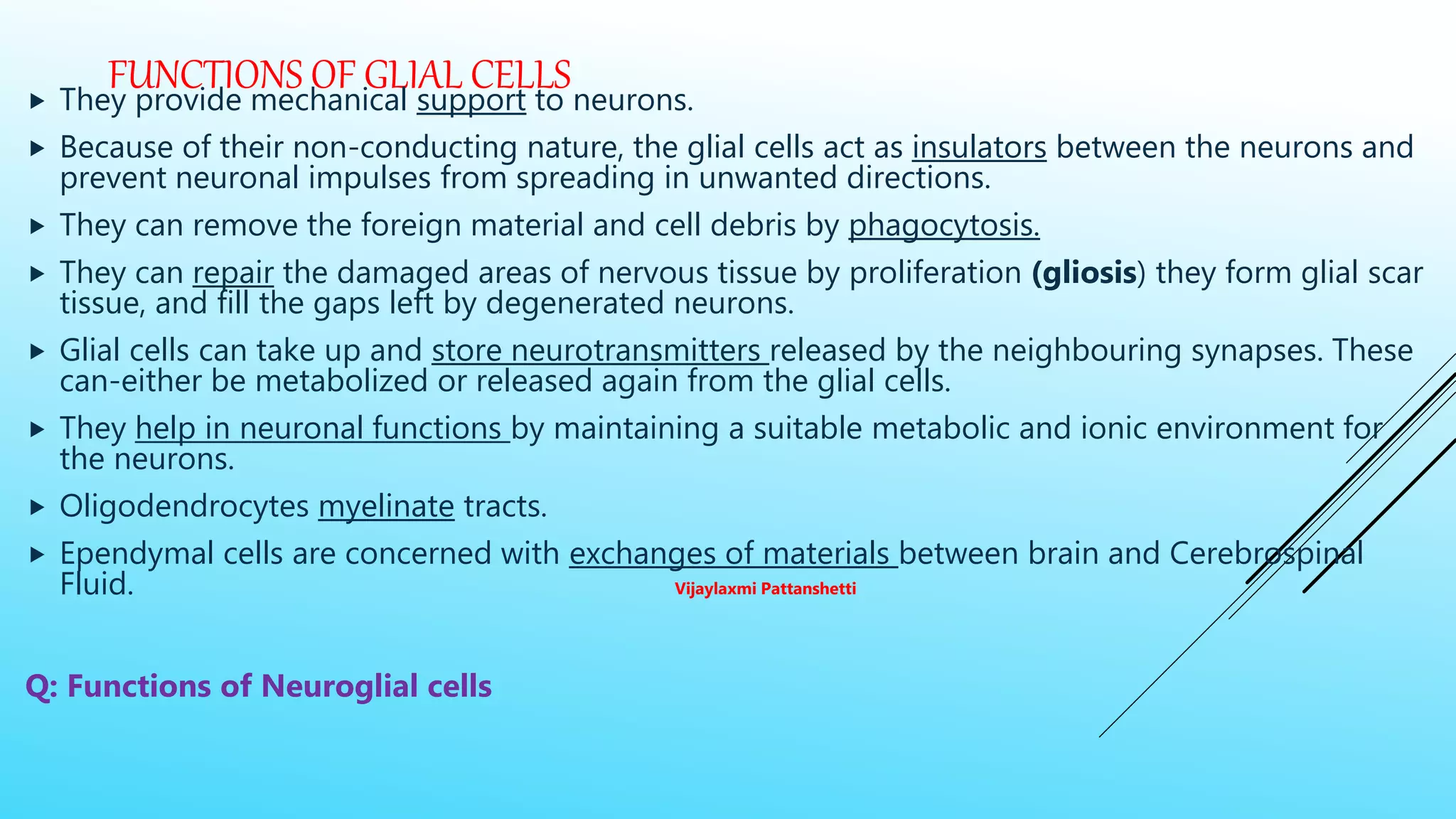 FUNCTIONS OF GLIAL CELLS They provide mechanical support to neurons.
 Because of their non-conducting nature, the glial cells act as insulators between the neurons and
prevent neuronal impulses from spreading in unwanted directions.
 They can remove the foreign material and cell debris by phagocytosis.
 They can repair the damaged areas of nervous tissue by proliferation (gliosis) they form glial scar
tissue, and fill the gaps left by degenerated neurons.
 Glial cells can take up and store neurotransmitters released by the neighbouring synapses. These
can-either be metabolized or released again from the glial cells.
 They help in neuronal functions by maintaining a suitable metabolic and ionic environment for
the neurons.
 Oligodendrocytes myelinate tracts.
 Ependymal cells are concerned with exchanges of materials between brain and Cerebrospinal
Fluid. Vijaylaxmi Pattanshetti
Q: Functions of Neuroglial cells
 
