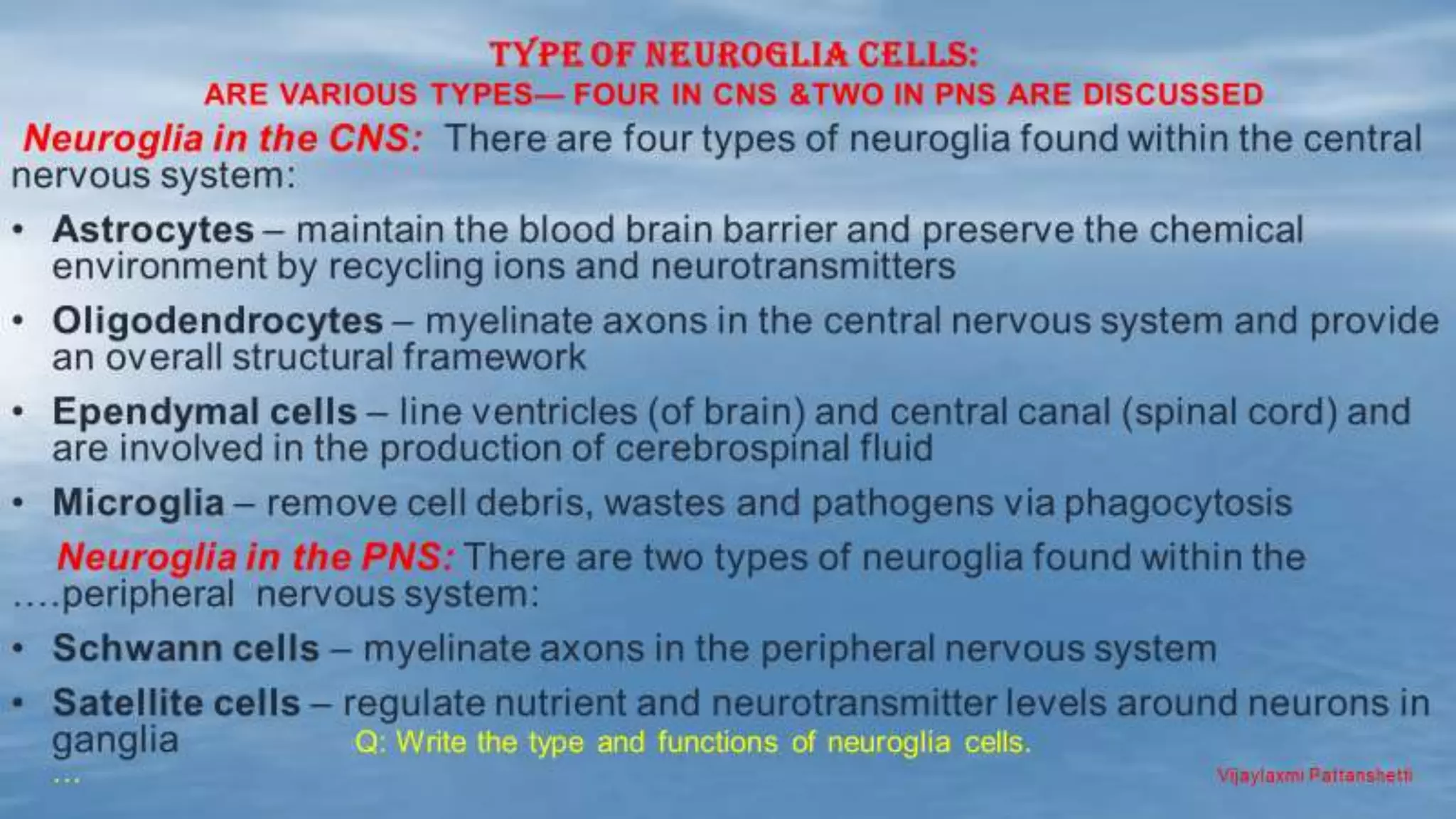 NEUROGLIA CELLS