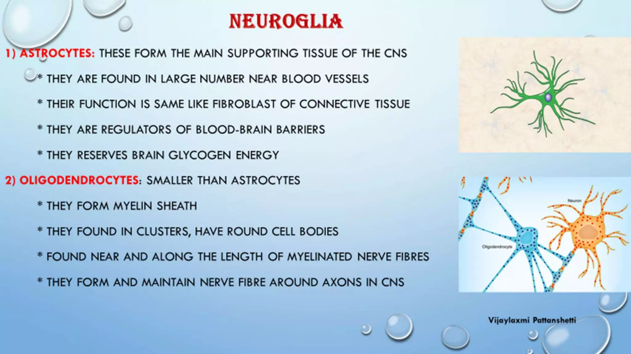 NEUROGLIA CELLS