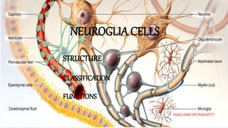 NEUROGLIA CELLS
STRUCTURE
CLASSIFICATION
FUNCTIONS
VIJAYLAXMI PATTANSHETTI
 