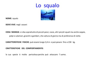 Lo  squalo NOME : squalo DOVE VIVE : negli  oceani COSA  MANGIA : si ciba soprattutto di piccoli pesci, razze, altri piccoli squali ma anche seppie, polpi e calamari, granchi e gamberi, che cattura di giorno ma di preferenza di notte. CARATTERISTICHE  FISICHE : può essere lungo 3,4 m e può pesare  fino a 230  kg. CRATTERISTICHE  DEL  COMPORTAMENTO : la  sua  specie  è  molto  pericolosa perche  può  attaccare  l' uomo. 