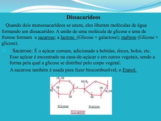 Dissacarídeos
Quando dois monossacarídeos se unem, eles liberam moléculas de água
formando um dissacarídeo. A união de uma molécula de glicose e uma de
frutose formam a sacarose; a lactose (Glicose + galactose); maltose (Glicose +
glicose).
 Sacarose: É o açúcar comum, adicionado a bebidas, doces, bolos, etc.
Esse açúcar é encontrado na cana-de-açúcar e em outros vegetais, sendo a
forma pela qual a glicose se distribui pelo corpo vegetal.
A sacarose também é usada para fazer biocombustível, o Etanol.
 