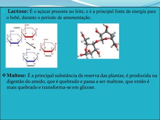  Lactose: É o açúcar presente no leite, e é a principal fonte de energia para
o bebê, durante o período de amamentação.
Maltose: É a principal substância de reserva das plantas, é produzida na
digestão do amido, que é quebrado e passa a ser maltose, que então é
mais quebrado e transforma-se em glicose.
 