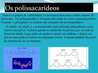 Os polissacarídeos
Dentre os grupos de carboidratos, os polissacarídeos tem o maior número de
moléculas. Um polissacarídeo é formado pela união de vários monossacarídeos.
O amido, o glicogênio e a celulose são exemplos de poslissacarídeos.
 O amido: Ou amilo, é o polissacarídeo mais utilizado pelas plantas como
reserva energética. A planta guarda as moléculas de glicose que vai usar na
forma de amido. Logo então ela quebra o amido em maltose, e depois em
glicose para pode-la utilizar na respiração celular. O amido também faz parte
da alimentação do ser-humano.
 