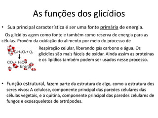 As funções dos glicídios
• Sua principal característica é ser uma fonte primária de energia.
Os glicídios agem como fonte e também como reserva de energia para as
células. Provém da oxidação do alimento por meio do processo de
• Função estrutural, fazem parte da estrutura de algo, como a estrutura dos
seres vivos: A celulose, componente principal das paredes celulares das
células vegetais, e a quitina, componente principal das paredes celulares de
fungos e exoesqueletos de artrópodes.
Respiração celular, liberando gás carbono e água. Os
glicídios são mais fáceis de oxidar. Ainda assim as proteínas
e os lipídios também podem ser usados nesse processo.
 