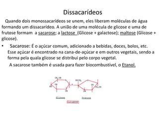 Dissacarídeos
Quando dois monossacarídeos se unem, eles liberam moléculas de água
formando um dissacarídeo. A união de uma molécula de glicose e uma de
frutose formam a sacarose; a lactose (Glicose + galactose); maltose (Glicose +
glicose).
• Sacarose: É o açúcar comum, adicionado a bebidas, doces, bolos, etc.
Esse açúcar é encontrado na cana-de-açúcar e em outros vegetais, sendo a
forma pela quala glicose se distribui pelo corpo vegetal.
A sacarose também é usada para fazer biocombustível, o Etanol.
 