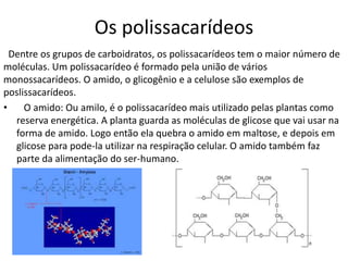 Os polissacarídeos
Dentre os grupos de carboidratos, os polissacarídeos tem o maior número de
moléculas. Um polissacarídeo é formado pela união de vários
monossacarídeos. O amido, o glicogênio e a celulose são exemplos de
poslissacarídeos.
• O amido: Ou amilo, é o polissacarídeo mais utilizado pelas plantas como
reserva energética. A planta guarda as moléculas de glicose que vai usar na
forma de amido. Logo então ela quebra o amido em maltose, e depois em
glicose para pode-la utilizar na respiração celular. O amido também faz
parte da alimentação do ser-humano.
 