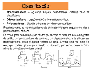 Classificação
• Monossacarídeos – Açúcares simples, considerados unidades base da
classificação.
• Oligossacarídeos – Ligação entre 2 e 10 monossacarídeos.
• Polissacarídeos – Ligação entre mais de 10 monossacarídeos.
Frequentemente, os monossacarídeos são chamados de oses, enquanto os oligo e
polissacarídeos, osídeos.
De modo geral, carboidratos são obtidos por animais na dieta por meio da ingestão
de amido, um polissacarídeo; de sacarose, um oligossacarídeo; e de glicose, um
monossacarídeo, todos de origem vegetal. Na dieta humana, uma rica fonte é o
mel, que contém glicose pura, sendo considerado, por vezes, como o único
alimento energético de origem animal.
 