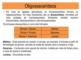 Oligossacarídeos
• Por meio de ligações glicosídicas, os monossacarídeos formam os
oligossacarídeos. Os mais importantes são os dissacarídeos, formados por
duas unidades de monossacarídeos. Entretanto, também ocorrem
trissacarídeos, tetrassacarídeos e até decassacarídeos.
Os principais dissacarídeos e como são formados
Maltose – Está presente em cereais. A cerveja, por exemplo, é formada a partir da
fermentação da glicose, extraída do malde de cereais como a cevada e o trigo.
Sacarose – Conhecido como açúcar de cozinha, é obtida por meio de fontes como
a cana de açúcar e a beterraba.
Lactose – Encontrada no leite.
Glicose + Glicose Maltose
Glicose + Frutose Sacarose
Glicose + Galactose Lactose
 