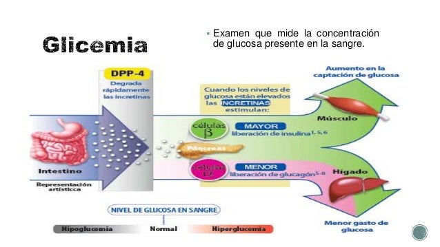Glicemia Glicemia