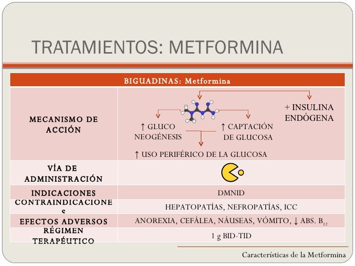 Planta Metformina | Holidays OO Planta Metformina | Holidays OO