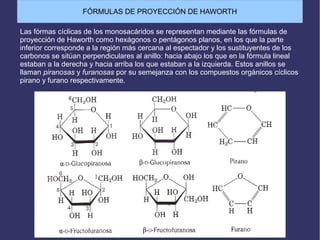 FÓRMULAS DE PROYECCIÓN DE HAWORTH
Las fórmas cíclicas de los monosacáridos se representan mediante las fórmulas de
proyección de Haworth como hexágonos o pentágonos planos, en los que la parte
inferior corresponde a la región más cercana al espectador y los sustituyentes de los
carbonos se sitúan perpendiculares al anillo: hacia abajo los que en la fórmula lineal
estaban a la derecha y hacia arriba los que estaban a la izquierda. Estos anillos se
llaman piranosas y furanosas por su semejanza con los compuestos orgánicos cíclicos
pirano y furano respectivamente.
 
