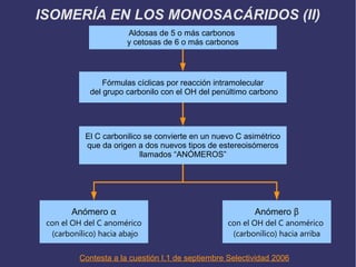 Aldosas de 5 o más carbonos
y cetosas de 6 o más carbonos
Fórmulas cíclicas por reacción intramolecular
del grupo carbonilo con el OH del penúltimo carbono
El C carbonilico se convierte en un nuevo C asimétrico
que da origen a dos nuevos tipos de estereoisómeros
llamados “ANÓMEROS”
Anómero α
con el OH del C anomérico
(carbonílico) hacia abajo
Anómero β
con el OH del C anomérico
(carbonílico) hacia arriba
ISOMERÍA EN LOS MONOSACÁRIDOS (II)
Contesta a la cuestión I.1 de septiembre Selectividad 2006
 