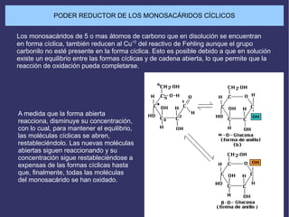 PODER REDUCTOR DE LOS MONOSACÁRIDOS CÍCLICOS
Los monosacáridos de 5 o mas átomos de carbono que en disolución se encuentran
en forma cíclica, también reducen al Cu+2
del reactivo de Fehling aunque el grupo
carbonilo no esté presente en la forma cíclica. Esto es posible debido a que en solución
existe un equilibrio entre las formas cíclicas y de cadena abierta, lo que permite que la
reacción de oxidación pueda completarse.
A medida que la forma abierta
reacciona, disminuye su concentración,
con lo cual, para mantener el equilibrio,
las moléculas cíclicas se abren,
restableciéndolo. Las nuevas moléculas
abiertas siguen reaccionando y su
concentración sigue restableciéndose a
expensas de las formas cíclicas hasta
que, finalmente, todas las moléculas
del monosacárido se han oxidado.
 