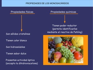 PROPIEDADES DE LOS MONOSACÁRIDOS
Propiedades físicas Propiedades químicas
Son sólidos cristalinos
Tienen color blanco
Son hidrosolubles
Tienen sabor dulce
Presentan actividad óptica
(excepto la dihidroxiacetona)
Tienen poder reductor
(permite identificarlos
mediante el reactivo de Fehling)
 