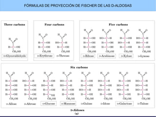 FÓRMULAS DE PROYECCIÓN DE FISCHER DE LAS D-ALDOSAS
 