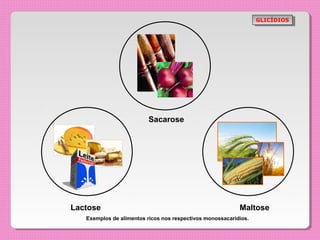 GLICÍDIOS
                                                                   GLICÍDIOS




                          Sacarose




Lactose                                                    Maltose
   Exemplos de alimentos ricos nos respectivos monossacarídios.
 