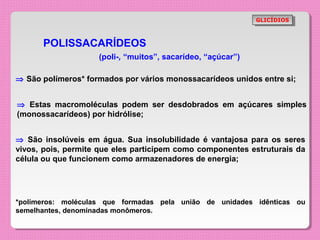 GLICÍDIOS
                                                              GLICÍDIOS



      POLISSACARÍDEOS
                    (poli-, “muitos”, sacarídeo, “açúcar”)

⇒ São polímeros* formados por vários monossacarídeos unidos entre si;


⇒ Estas macromoléculas podem ser desdobrados em açúcares simples
(monossacarídeos) por hidrólise;


⇒ São insolúveis em água. Sua insolubilidade é vantajosa para os seres
vivos, pois, permite que eles participem como componentes estruturais da
célula ou que funcionem como armazenadores de energia;




*polímeros: moléculas que formadas pela união de unidades idênticas ou
semelhantes, denominadas monômeros.
 