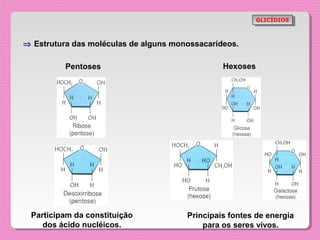 GLICÍDIOS
                                                           GLICÍDIOS



⇒ Estrutura das moléculas de alguns monossacarídeos.

          Pentoses                              Hexoses




 Participam da constituição            Principais fontes de energia
    dos ácido nucléicos.                   para os seres vivos.
 