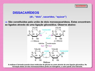 GLICÍDIOS
                                                                                        GLICÍDIOS



       DISSACARÍDEOS
                             (di-, “dois”, sacarídeo, “açúcar”)

⇒ São constituídos pela união de dois monossacarídeos. Estes encontram-
se ligados através de uma ligação glicosídica. Observe abaixo:




  A maltose é formada quando duas moléculas de glicose se unem através de uma ligação glicosídica. Na
       formação desta um dos monossacarídeos perde um hidrogênio, o outro perde uma hidroxila.
 