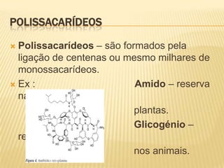PolissacarídeosPolissacarídeos– são formados pela ligação de centenas ou mesmo milhares de monossacarídeos.Ex :                                    Amido – reserva nas                                             plantas.Glicogénio – reserva                                              nos animais.