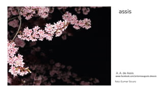 assis
A. A. de Assis
www.facebook.com/antonioaugusto.deassis
foto: Eumar Sicuro
 