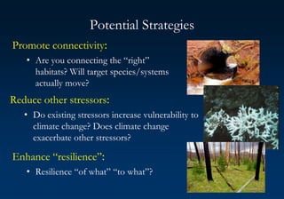 Potential Strategies
Promote connectivity:
• Are you connecting the “right”
habitats? Will target species/systems
actually move?
Reduce other stressors:
• Do existing stressors increase vulnerability to
climate change? Does climate change
exacerbate other stressors?
Enhance “resilience”:
• Resilience “of what” “to what”?
 