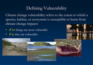 Defining Vulnerability
Climate change vulnerability refers to the extent to which a
species, habitat, or ecosystem is susceptible to harm from
climate change impacts
• What things are most vulnerable
• Why they are vulnerable
 