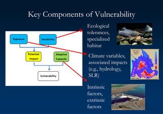 Key Components of Vulnerability
Ecological
tolerances,
specialized
habitat
Climate variables,
associated impacts
(e.g., hydrology,
SLR)
Intrinsic
factors,
extrinsic
factors
 