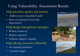 Using Vulnerability Assessment Results
Help prioritize species and systems
• Address most vulnerable? Least?
• Base on ecological/economic
importance?
Help design management strategies
• Reduce sensitivity
• Reduce exposure
• Enhance adaptive capacity
Help allocate resources efficiently
• Set research priorities?
• Consider triage?
 
