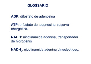 GLOSSÁRIO


ADP: difosfato de adenosina

ATP: trifosfato de adenosina, reserva
energética.

NADH: nicotinamida adenina, transportador
de hidrogênio

NADH2: nicotinamida adenina dinucleotídeo.
 