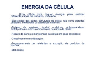 ENERGIA DA CÉLULA
       Uma célula viva requer energia            para   realizar
diferentes tipos de trabalho, incluindo:
-Biossíntese das partes estruturais da célula, tais como paredes
celulares, membrana ou apêndices externos;
-Síntese de enzimas, ácidos nucleicos, polissacarídeos,
fosfolipídeos e outros componentes químicos da célula;
-Reparo de danos e manutenção da célula em boas condições;
-Crescimento e multiplicação;
-Armazenamento de nutrientes e excreção de produtos de
escória;
-Mobilidade
 