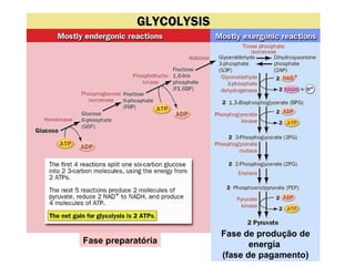 Fase preparatória
Fase de produção de
energia
(fase de pagamento)
 