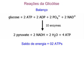 Reações da Glicólise
Balanço
Saldo de energia = 02 ATPs
 