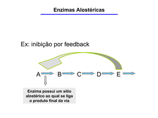 Ex: inibição por feedback
Enzima possui um sítio
alostérico ao qual se liga
o produto final da via
A B C D E
Enzimas Alostéricas
 