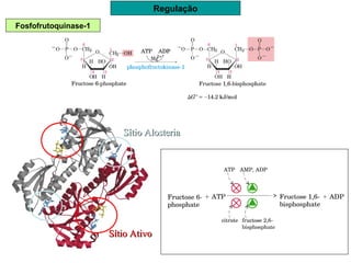 Regulação
Fosfofrutoquinase-1
Sítio AtivoSítio Ativo
Sítio AlosteriaSítio Alosteria
 