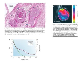Glicólise e fermentação   1