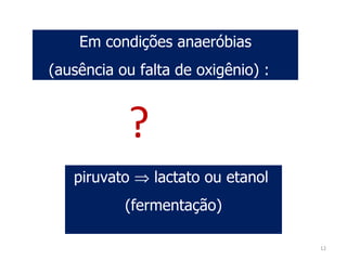 Em condições anaeróbias (ausência ou falta de oxigênio) : piruvato    lactato ou etanol  (fermentação) ? 