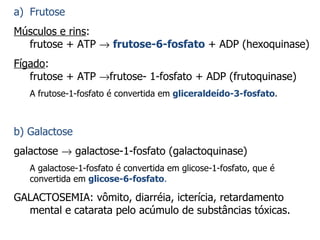 Frutose Músculos e rins :  frutose + ATP     frutose-6-fosfato  + ADP (hexoquinase) Fígado : frutose + ATP   frutose- 1-fosfato + ADP (frutoquinase) A frutose-1-fosfato é convertida em  gliceraldeído-3-fosfato . b) Galactose galactose    galactose-1-fosfato (galactoquinase) A galactose-1-fosfato é convertida em glicose-1-fosfato, que é convertida em  glicose-6-fosfato . GALACTOSEMIA: vômito, diarréia, icterícia, retardamento mental e catarata pelo acúmulo de substâncias tóxicas. 