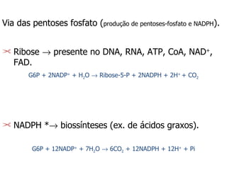 Via das pentoses fosfato ( produção de pentoses-fosfato e NADPH ). Ribose    presente no DNA, RNA, ATP, CoA, NAD + , FAD. G6P + 2NADP +  + H 2 O    Ribose-5-P + 2NADPH + 2H +  + CO 2 NADPH *   biossínteses (ex. de ácidos graxos). G6P + 12NADP +  + 7H 2 O    6CO 2  + 12NADPH + 12H +  + Pi 