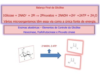 2 NADH, 2 ATP Balanço Final da Glicólise 1Glicose + 2NAD +  + 2Pi    2Piruvatos + 2NADH +2H +  +2ATP + 2H 2 O Vários microorganismos têm essa via como a única fonte de energia. Enzimas alostéricas – Elementos de Controle da Glicólise Hexocinase, Fosfofrutocinase e Piruvato cinase 