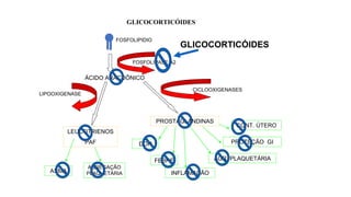 GLICOCORTICÓIDES
FOSFOLIPIDIO
FOSFOLIPASE A2
ÁCIDO ARACDÔNICO
LIPOOXIGENASE
CICLOOXIGENASES
LEUCOTRIENOS
PAF
PROSTAGLANDINAS
ASMA
AGREGAÇÃO
PLAQUETÁRIA
DOR
FEBRE
INFLAMAÇÃO
AGR. PLAQUETÁRIA
PROTEÇÃO GI
CONT. ÚTERO
GLICOCORTICÓIDES
 