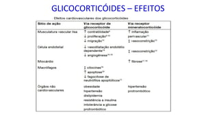 GLICOCORTICÓIDES – EFEITOS
 