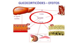 PLASMA
GLICOGÊNIO
GLICOSE
AA
ÁC. GRAXOS
+
GLICEROL
CÁLCIO
GLICOCORTICÓIDES – EFEITOS
 
