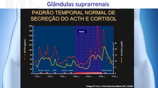 Glândulas suprarrenais
PADRÃO TEMPORAL NORMAL DE
SECREÇÃO DO ACTH E CORTISOL
PADRÃO TEMPORAL NORMAL DE
PADRÃO TEMPORAL NORMAL DE
SECREÇÃO DO ACTH E CORTISOL
SECREÇÃO DO ACTH E CORTISOL
200
200
200
0
0
0
12:00
12:00
12:00 16:00
16:00
16:00 20:00
20:00
20:00 24:00
24:00
24:00 04:00
04:00
04:00 08:00
08:00
08:00 12:00
12:00
12:00
Krieger DT et al: J Clin Endocrinol Metab 1971; 32:266
Krieger
Krieger DT et al: J
DT et al: J Clin
Clin Endocrinol
Endocrinol Metab
Metab 1971; 32:266
1971; 32:266
200
200
200
180
180
180
160
160
160
140
140
140
120
120
120
100
100
100
80
80
80
60
60
60
40
40
40
20
20
20
0
0
0
Almoço
Almoço
Almoço Lanche
Lanche
Lanche Jantar
Jantar
Jantar Lanche
Lanche
Lanche Lanche
Lanche
Lanche Café da manhã
Café da manhã
Café da manhã
12:00
12:00
12:00 16:00
16:00
16:00 20:00
20:00
20:00 24:00
24:00
24:00 04:00
04:00
04:00 08:00
08:00
08:00 12:00
12:00
12:00
25
25
25
20
20
20
15
15
15
10
10
10
5
5
5
0
0
0
ACTH
(pg/mL)
ACTH
(
ACTH
(pg
pg/
/
mL
mL)
)
Cortisol
(g/dl)
Cortisol
Cortisol
(
(

g/dl)
g/dl)
Sono
Sono
 